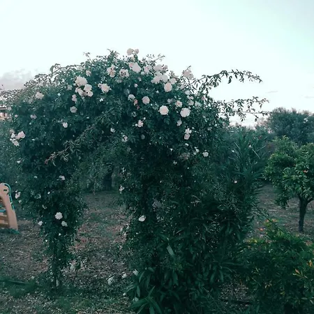 Nyaraló La Casa Delle Rose 2 *