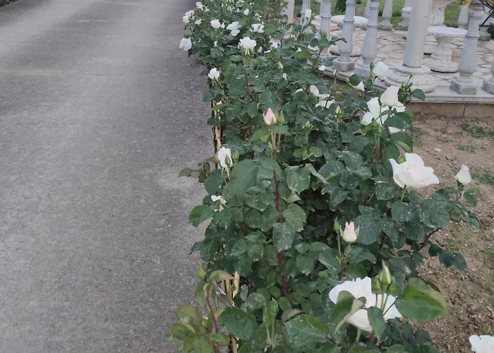 La Casa Delle Rose 2 Casa de Férias *